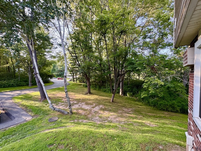 92 Cynthia Ln Apt E1, Middletown, CT 06457 - view of grassy yard