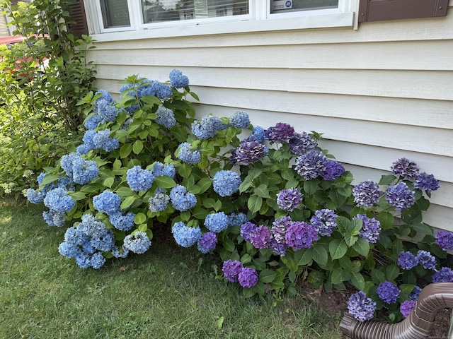 79 Wooster Ave, Stratford, CT 06615 - photo 3