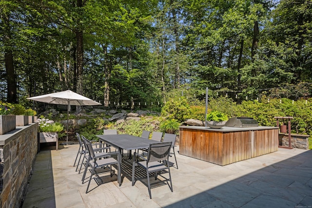 35 Langhorne Ln, Greenwich, CT 06831 - photo 28