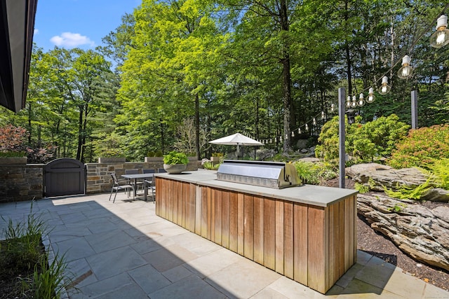 35 Langhorne Ln, Greenwich, CT 06831 - photo 30