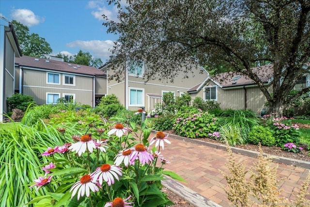 28 Hearthstone Dr Unit 28, Brookfield, CT 06804 - photo 2