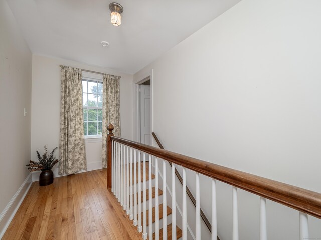 13 Hillsdale Ave, Ridgefield, CT 06877 - photo 25