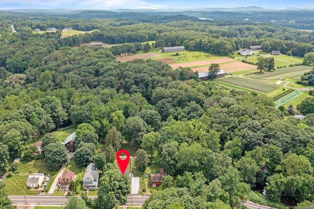 73 Water St, Glastonbury, CT 06073 - bird's eye view of a heavily wooded area