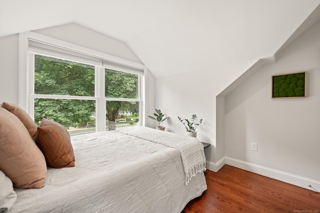 73 Water St, Glastonbury, CT 06073 - bedroom featuring vaulted ceiling, wood finished floors, and multiple windows