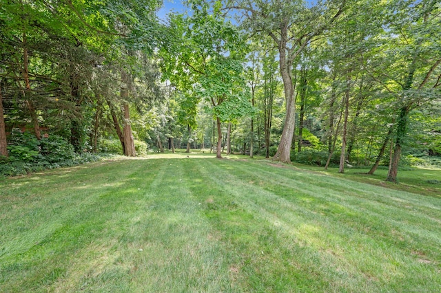 73 Water St, Glastonbury, CT 06073 - view of grassy yard