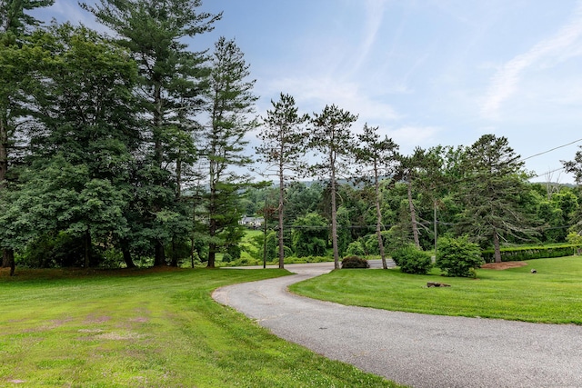 285 Millerton Rd, Salisbury, CT 06039 - photo 2