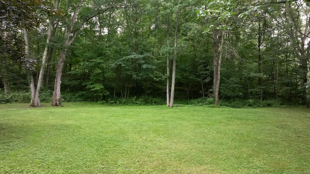 43 Prentice Hill Rd, Hebron, CT 06248 - photo 35