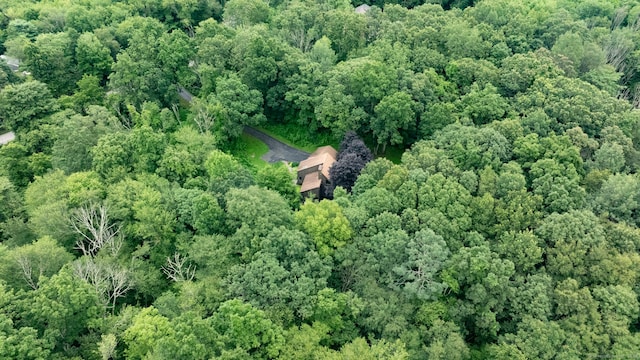 43 Prentice Hill Rd, Hebron, CT 06248 - photo 37