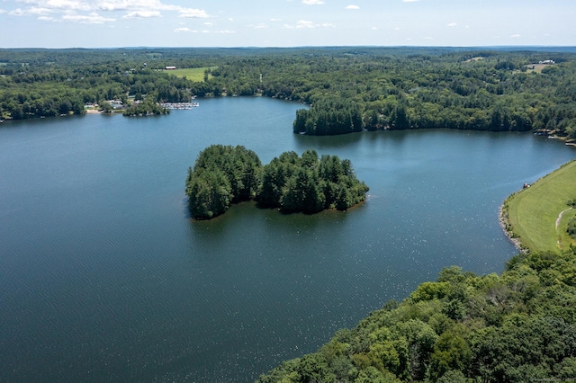 430 Milton Rd, Goshen, CT 06756 - photo 4