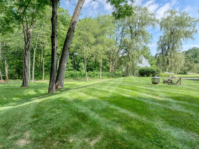 35 Pheasant Ln, Ridgefield, CT 06877 - view of green lawn