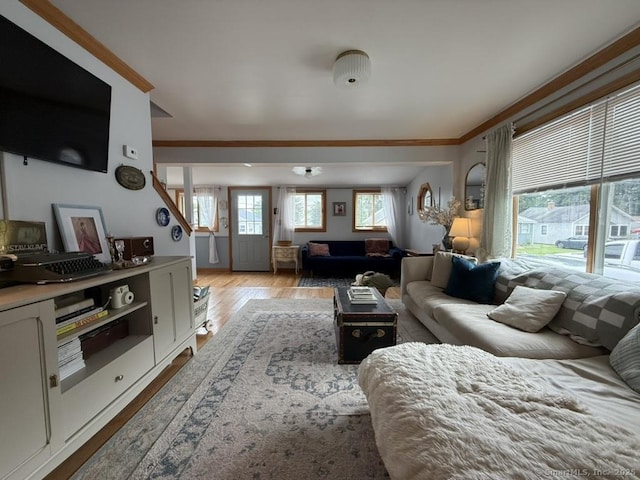 19 Hartford Ave, Old Saybrook, CT 06475 - living room with wood finished floors and crown molding