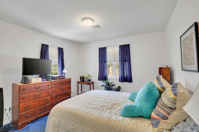14 Jeremy Way Unit 14, Hebron, CT 06248 - photo 23