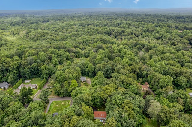 142 Wilderwood Dr, Guilford, CT 06437 - photo 36