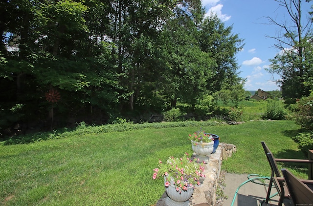 242 Heritage Vlg Unit B, Southbury, CT 06488 - photo 5