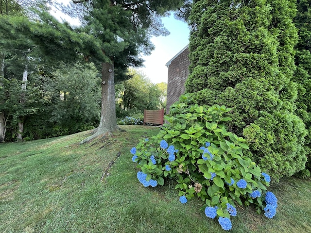 87 Salem Walk Unit 87, Milford, CT 06460 - photo 25