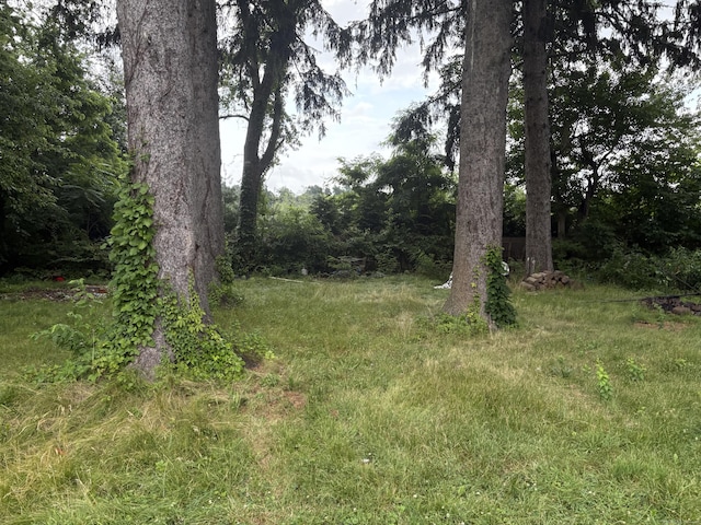 104 Gale Ave, Meriden, CT 06450 - photo 6