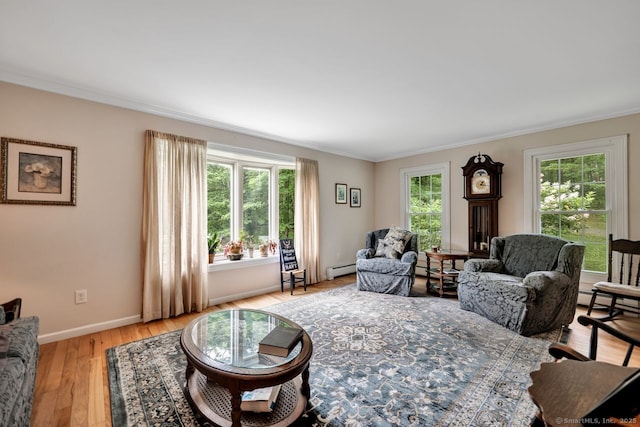 159 Woods Way Dr, Southbury, CT 06488 - living area featuring crown molding, light wood finished floors, a baseboard radiator, and a baseboard heating unit