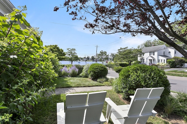 521 Lake Ave, Bridgeport, CT 06605 - view of yard