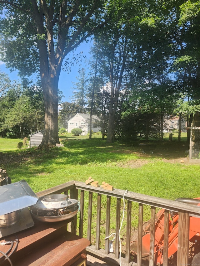 15 Juniper Rd, Newtown, CT 06470 - view of green lawn