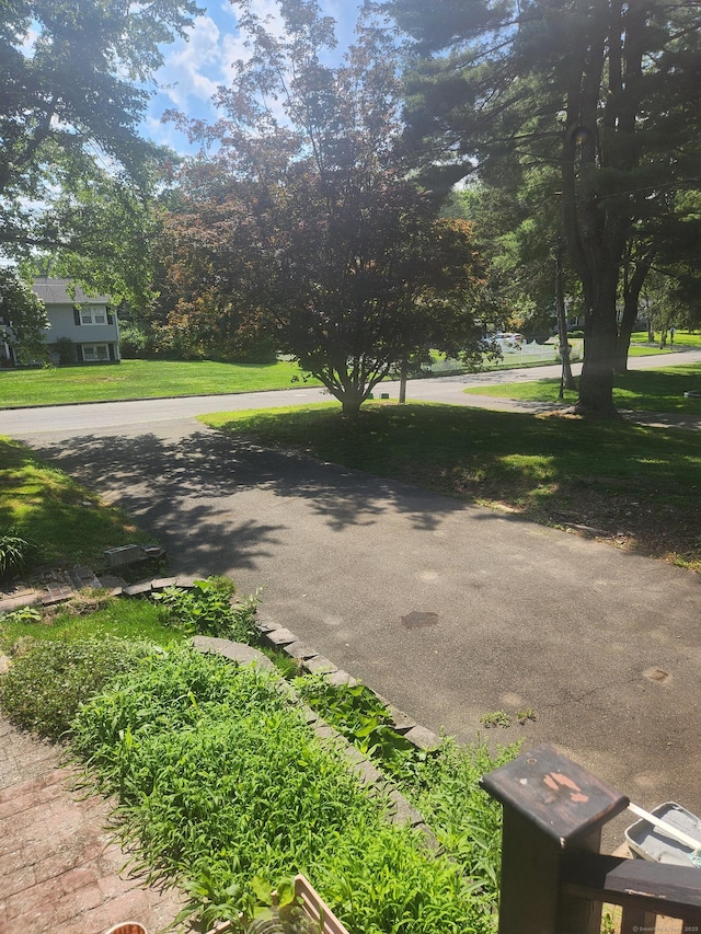 15 Juniper Rd, Newtown, CT 06470 - view of green lawn