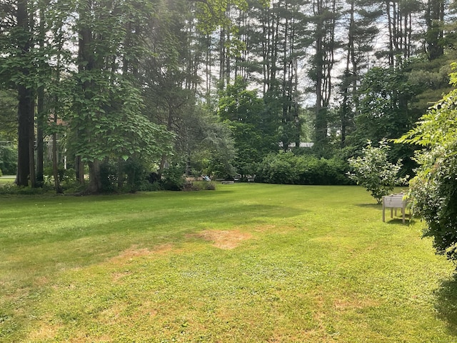 163 Simsbury Rd, Avon, CT 06001 - photo 36