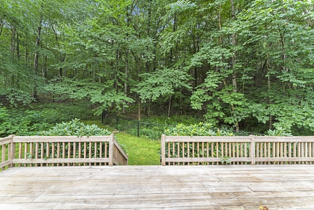 26 Appleblossom Ln, Newtown, CT 06470 - photo 36