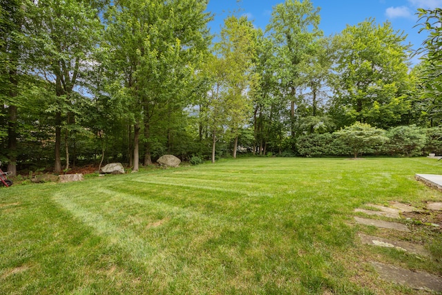 6 Nicholas Ct, Prospect, CT 06712 - photo 36