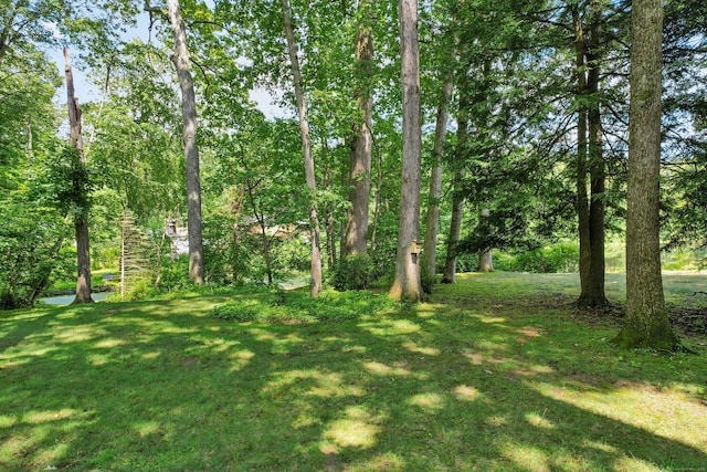 130 Fishing Trl, Stamford, CT 06903 - photo 31
