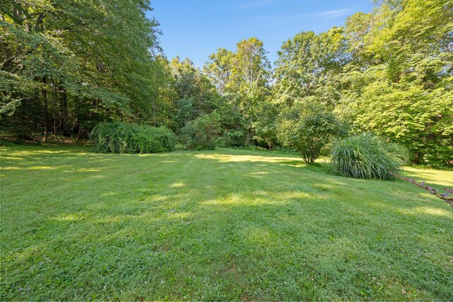 61 Christian St, Washington, CT 06777 - photo 5