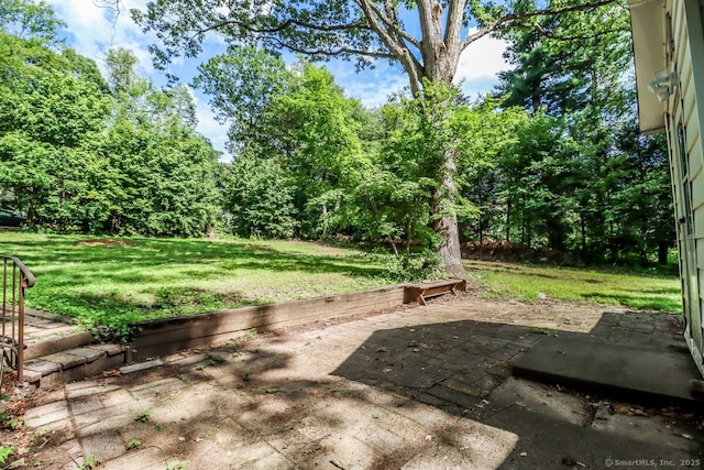 16 Oak St, New Fairfield, CT 06812 - view of green lawn with a patio area