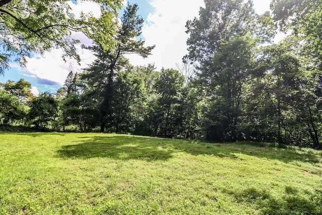 16 Oak St, New Fairfield, CT 06812 - view of grassy yard
