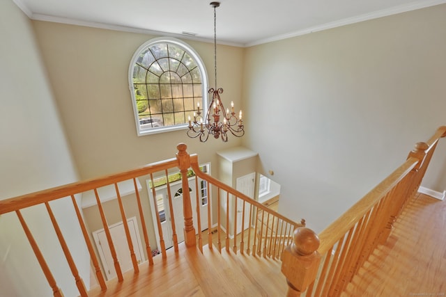 263 Byram Rd, Greenwich, CT 06830 - photo 17