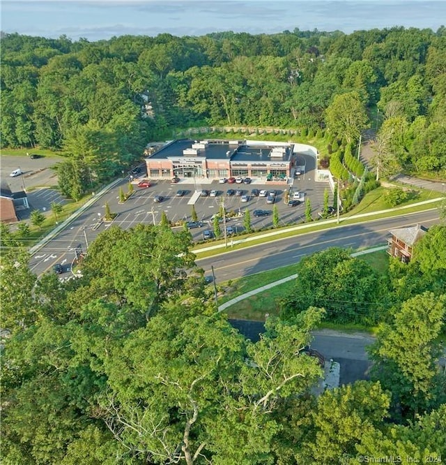 12 Sunset Ave, Trumbull, CT 06611 - view of property location featuring a heavily wooded area