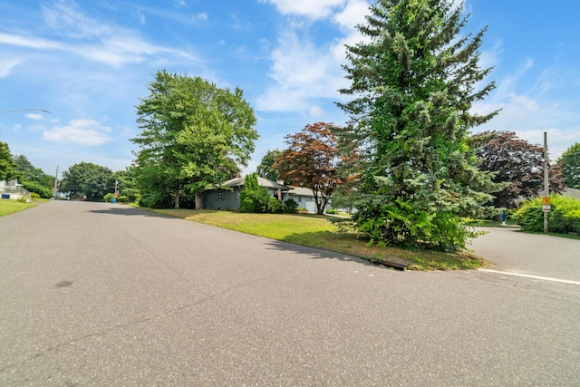 9 Ramona Ave, Waterbury, CT 06705 - photo 29