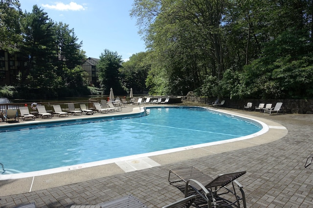 50 Aiken St Apt 263, Norwalk, CT 06851 - photo 23