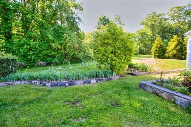 12 Shady Knoll Ln, New Canaan, CT 06840 - photo 29