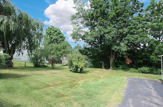 21 Cherry St, Seymour, CT 06483 - photo 28