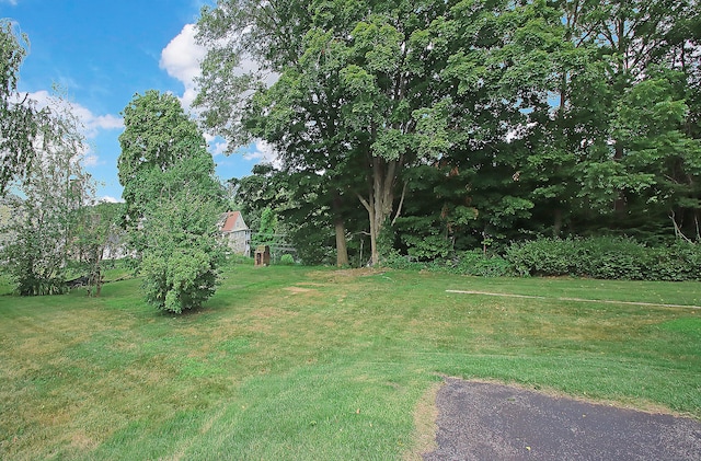 21 Cherry St, Seymour, CT 06483 - photo 27