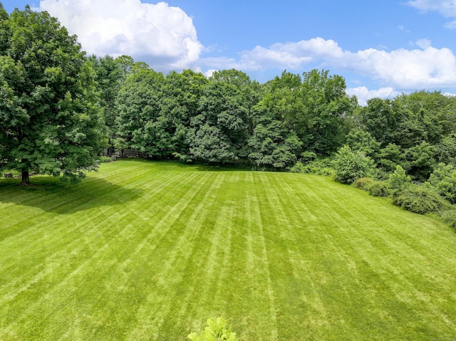 46 Dayton Rd, Redding, CT 06896 - photo 32