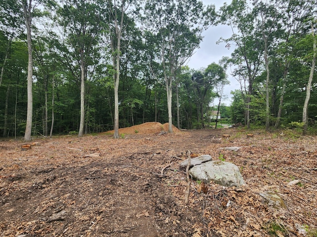262 Rte 81, Killingworth, CT 06419 - photo 3