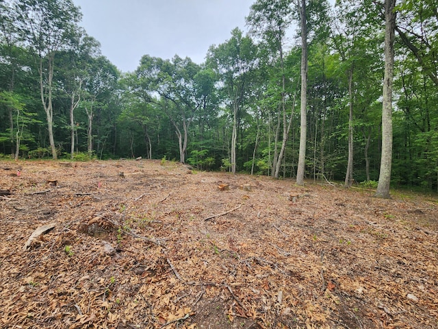 262 Rte 81, Killingworth, CT 06419 - photo 4