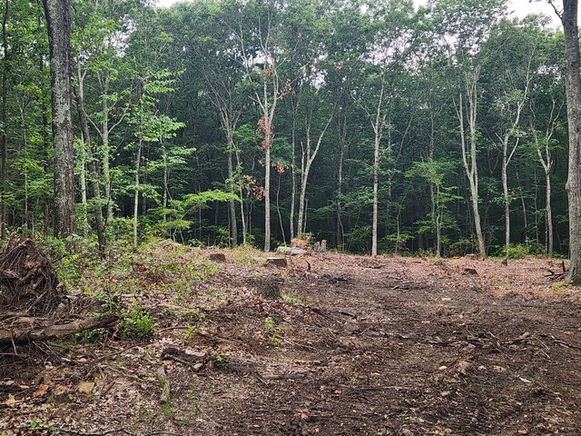 262 Rte 81, Killingworth, CT 06419 - photo 8