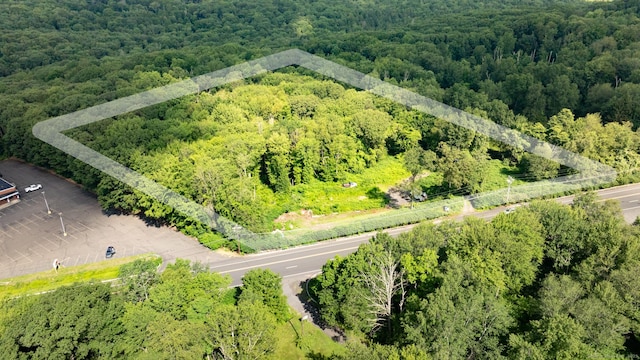 981 Wolcott Rd, Wolcott, CT 06716 - photo 11