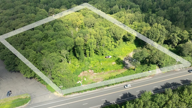 981 Wolcott Rd, Wolcott, CT 06716 - photo 12