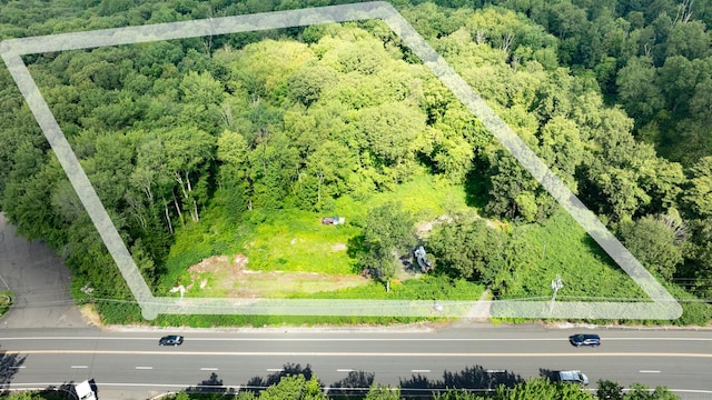 981 Wolcott Rd, Wolcott, CT 06716 - photo 13