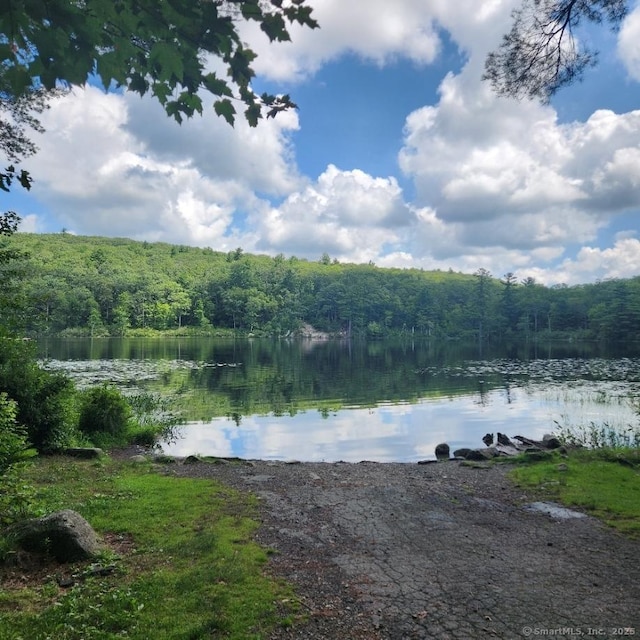 35 College St, Cornwall, CT 06759 - photo 38