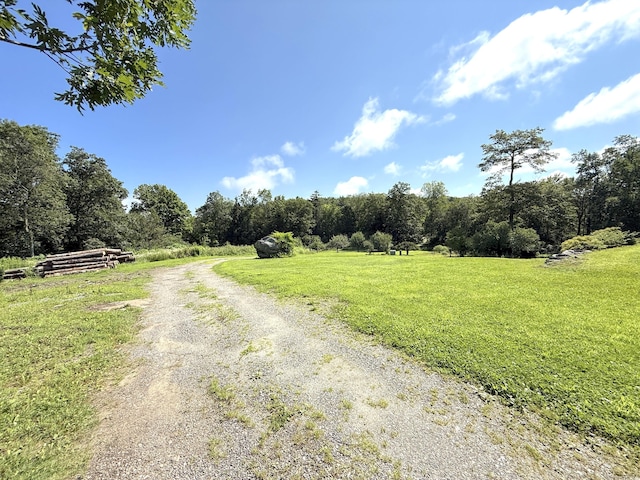 35 College St, Cornwall, CT 06759 - photo 6