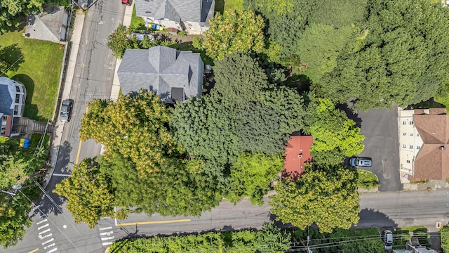 13 5th St, Waterbury, CT 06708 - photo 33