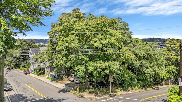 13 5th St, Waterbury, CT 06708 - photo 37
