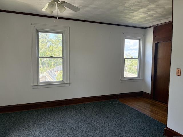155 Cranston St, New Haven, CT 06513 - photo 27